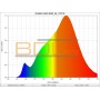 Spectre RUBAN LED 5050 12V blanc chaud 2700°K