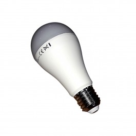 Ampoule led 15W 1250 lumens E27