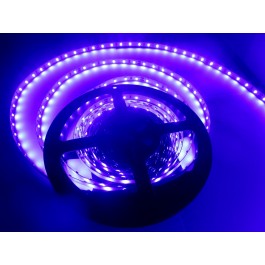 Ruban led indigo 440 nm 24V