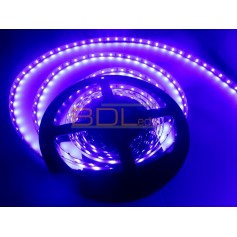 Ruban led bleu indigo 440 nm 24V