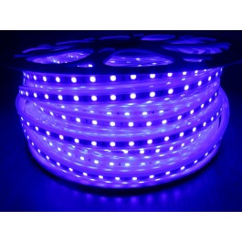 Ruban led bleu 220V