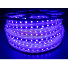 Ruban led bleu 220V