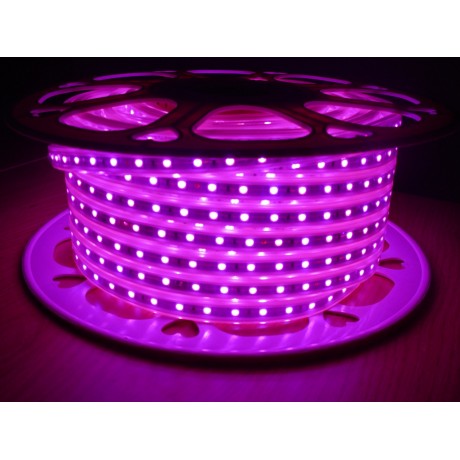 Ruban led rose 220V