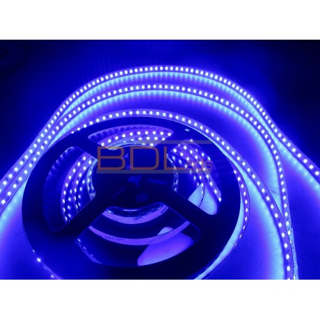 Ruban 120led/m 2835 bleu 660 nm 24V