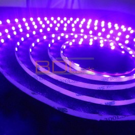 Spectre ruban LED 2835 5 mm 24V UV 395 nm