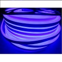 Néon LED flexible bleu 220V : L'éclairage polyvalent pour tous vos projets