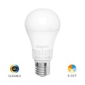 Ampoule LED 8,5 W 5 en 1 A60 premium E27 : polyvalence et économies pour votre éclairage