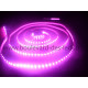 Ruban led RGB intérieur 300 leds smd 5050