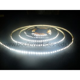 Ruban 600 led smd 3528 blanc