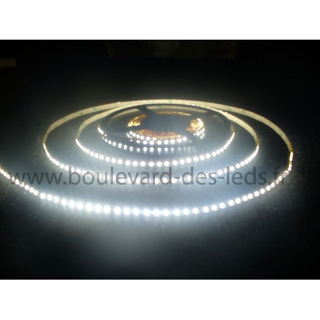 Ruban 600 led smd 3528 blanc