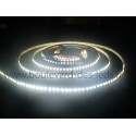 Ruban 600 led smd 3528 blanc