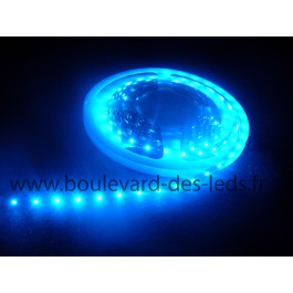 Ruban led bleu non waterproof