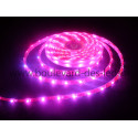 Ruban LED étanche RGB IP68 SMD 5050 30 led/m