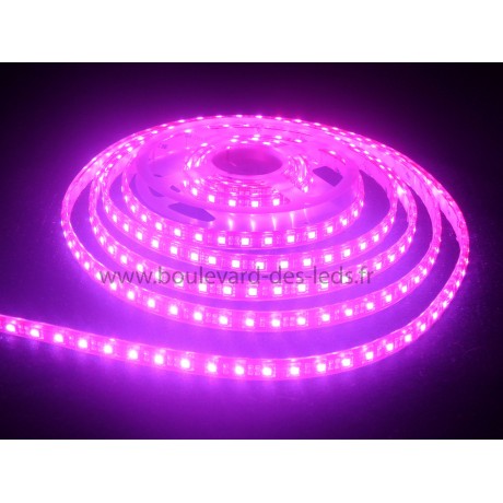 Strip led rgb 60led/M