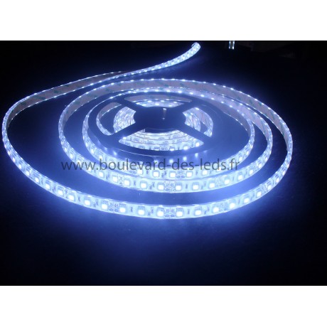 Bandeau led blanc froid 10000°K étanche