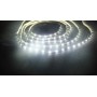 Ruban led blanc froid variable