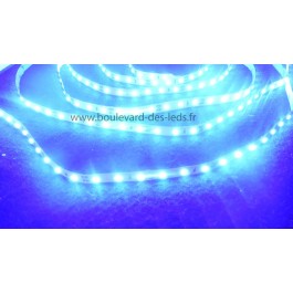 Ruban led bleu 2835 extra brillant