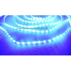 Ruban led bleu 12V SMD 2835 extra brillant