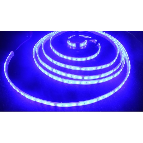 Bandeau led bleu étanche 2835