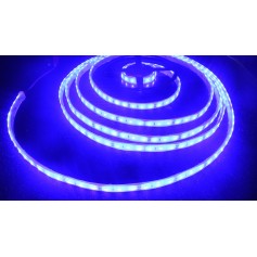 Bandeau led bleu étanche 2835