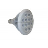 Ampoule led PAR 38 12 watts 60° 950 lm