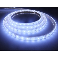 Ruban led blanc froid 2835