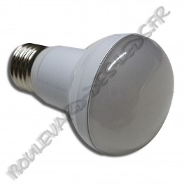 Ampoule led E27 2835