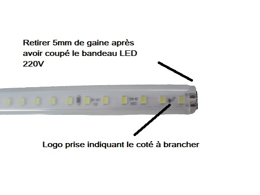 schéma branchement ruban LED 220V avec son câble